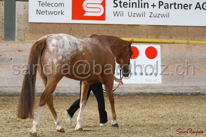 24-ApHC HIH_091.jpg